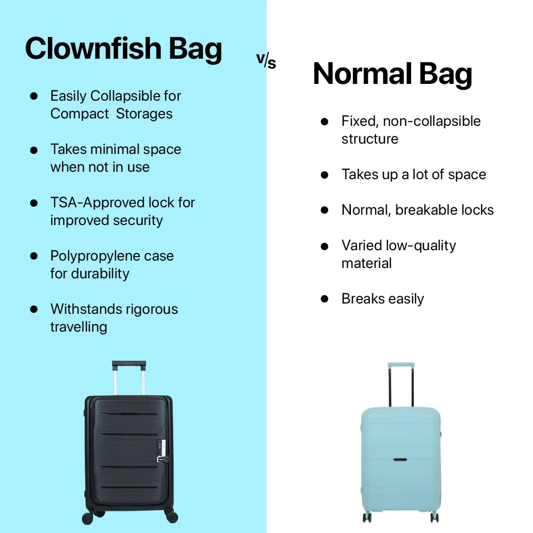 THE CLOWNFISH Collapsible Series Luggage Polypropylene Hard Case Suitcase Eight Wheel Foldable Trolley Bag with TSA Lock- Blue Grey (Small Size, 51 cm-20 inch)